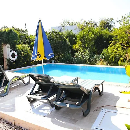 Willa Limon By Important Group Travel Bitez