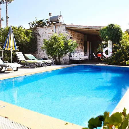 Limon By Important Group Travel *