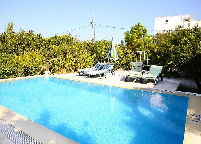 Limon By Important Group Travel