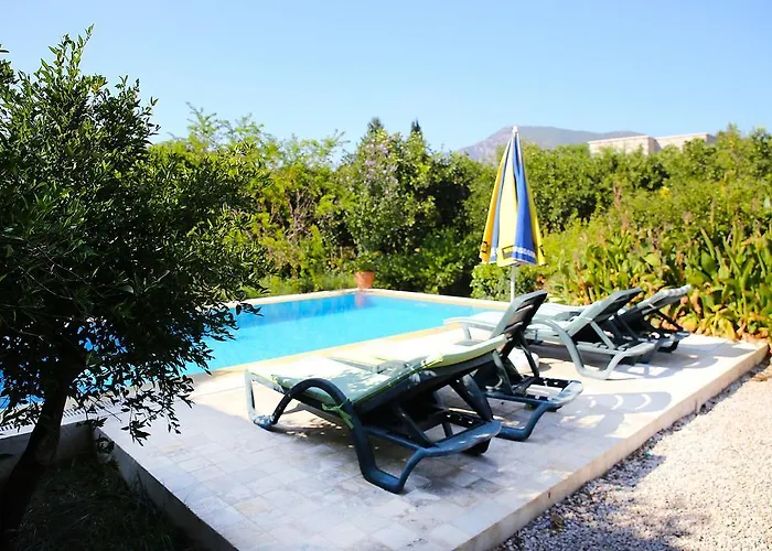 Limon By Important Group Travel بيتيس